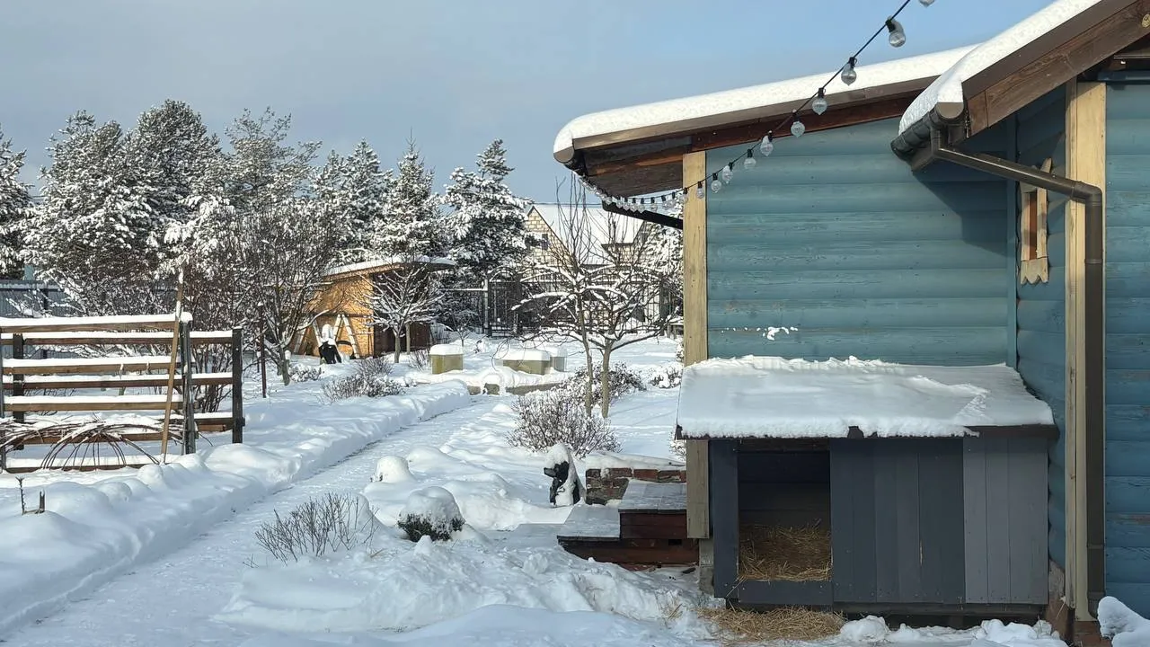 Фото: REGIONS/Полина Крачун