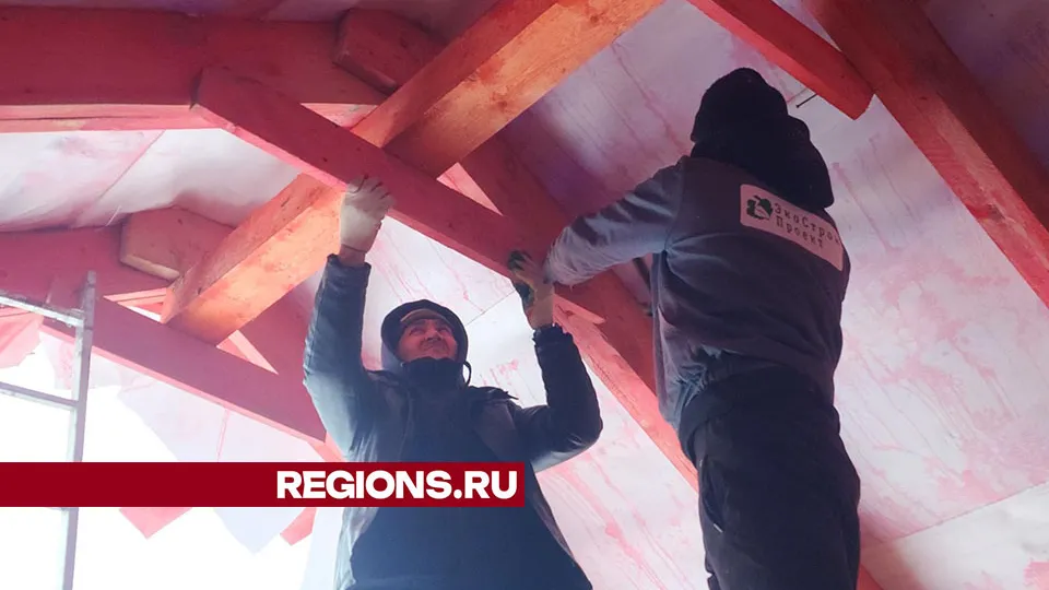 Фото: Дмитрий Беденко