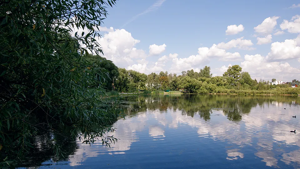 Фото: медиасток.рф