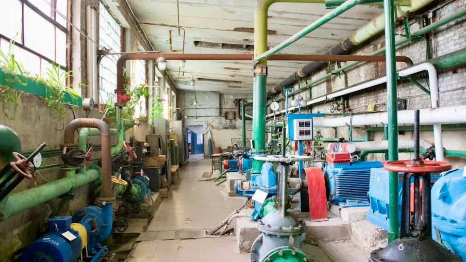 Фото: администрация м. о. Чехов