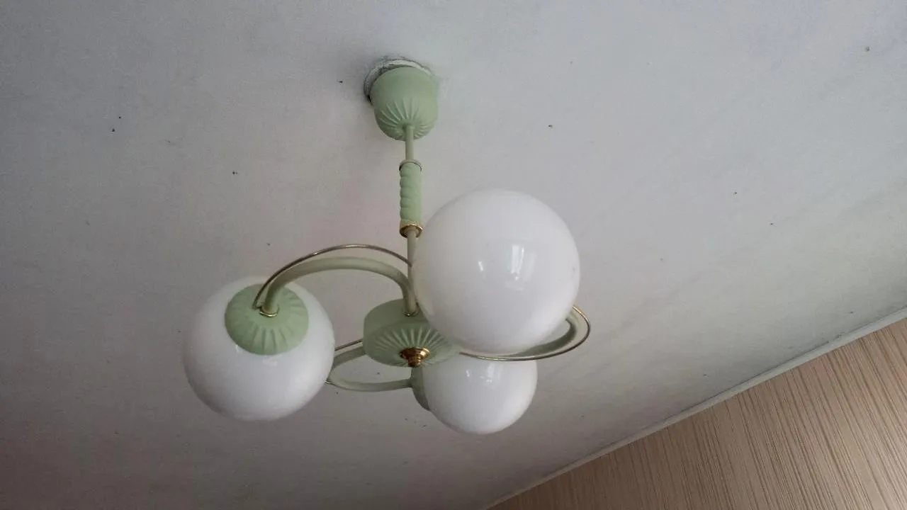 Фото: Олег Книжник