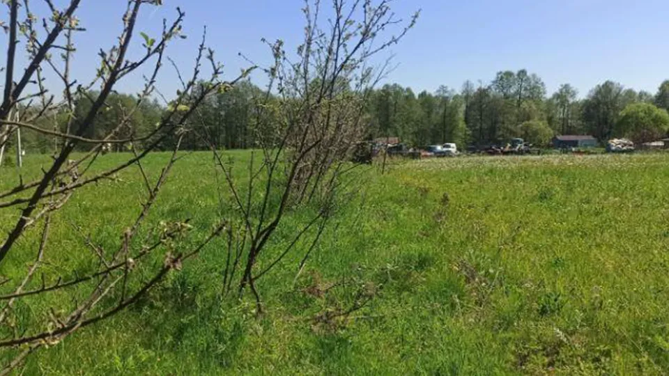 Фото: Единый портал торгов Московской области