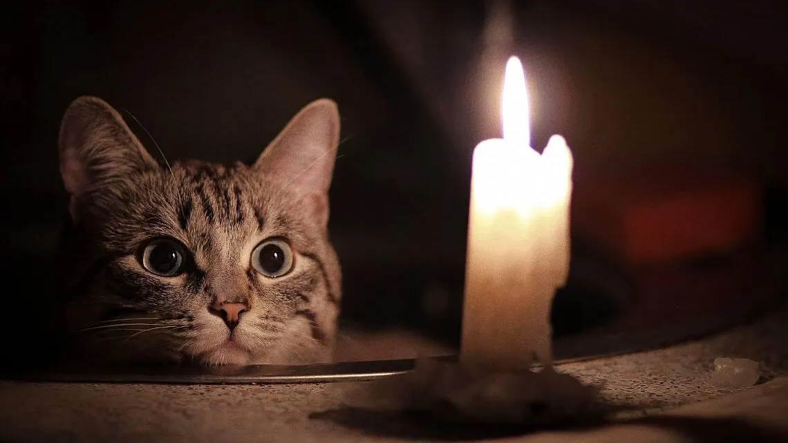 Фото из открытых источников