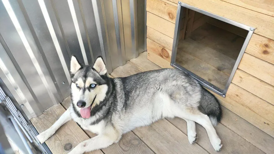 Фото: Минсельхоз МО