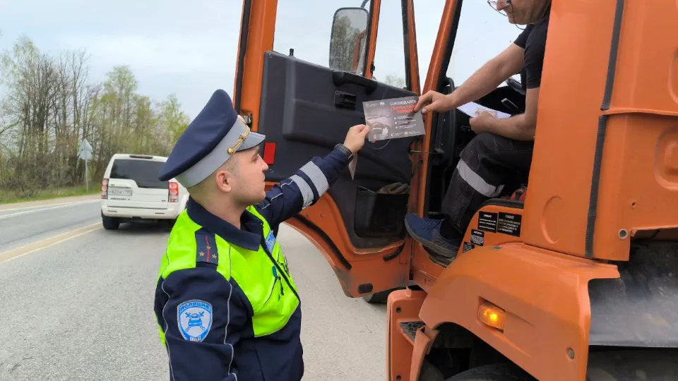 Фото: отдел Госавтоинспекции по г.о. Чехов