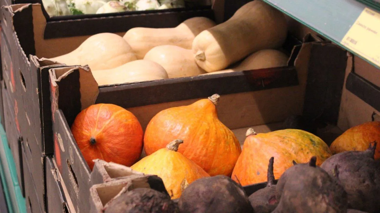 REGIONS/Анастасия Широкая