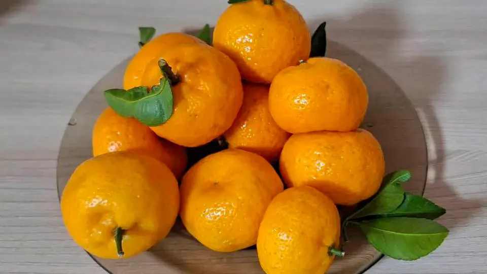 Фото: REGIONS/Юлия Габбасова