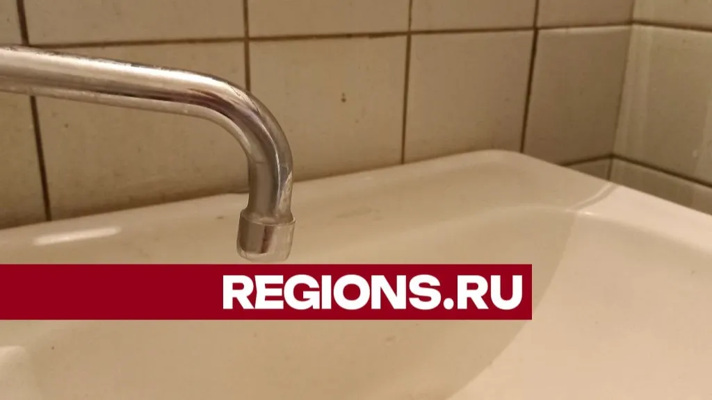 Фото: Олег Книжник