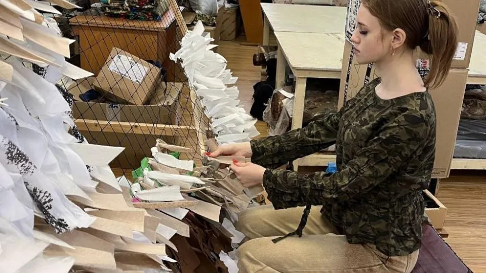 Министерство образования Московской области