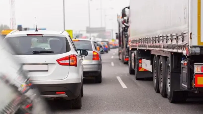 © Пресс-служба Министерства экологии и природопользования Московской области