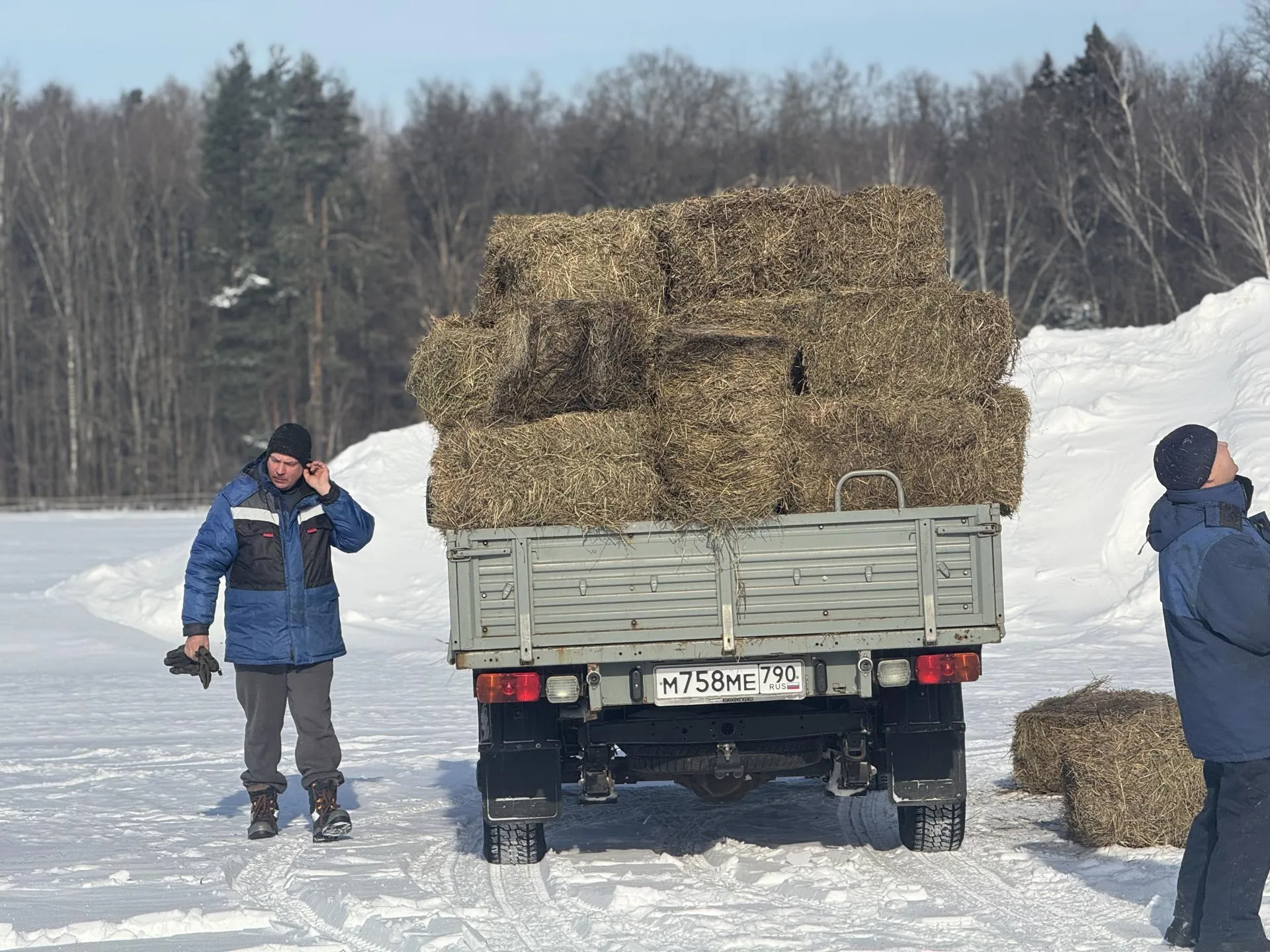 Полина Абраменко