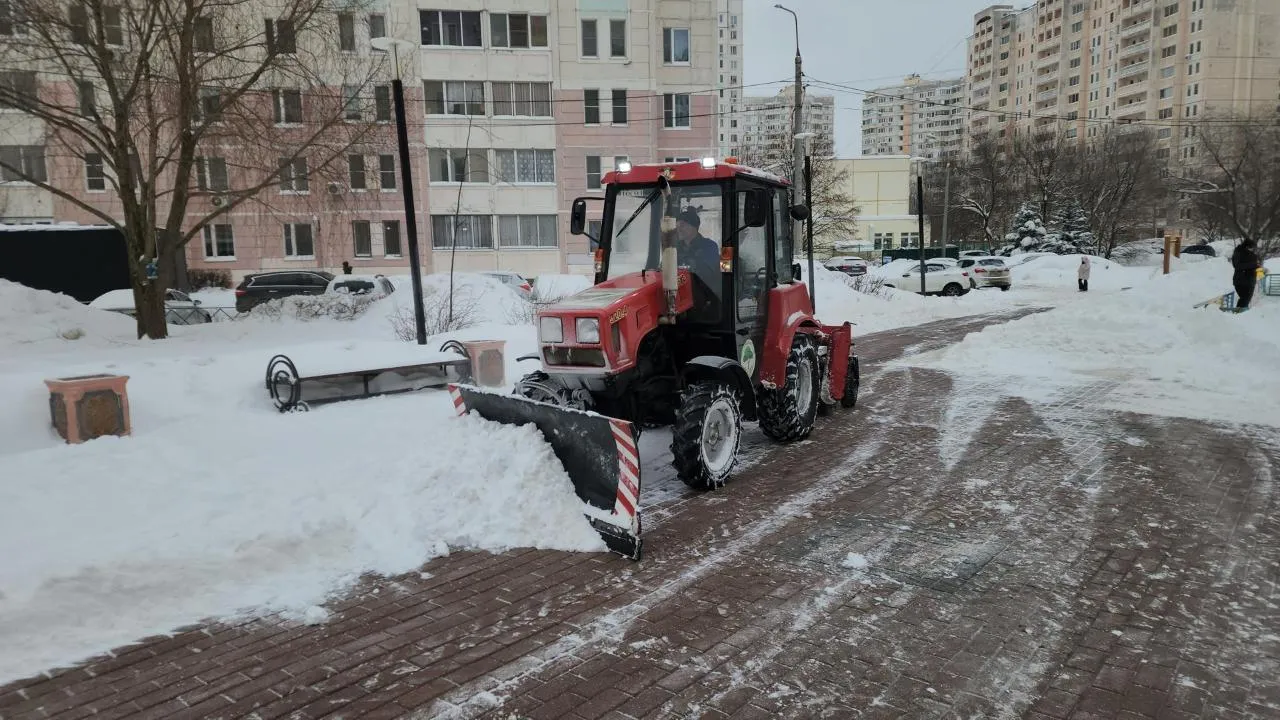 REGIONS/Мария Шигорева