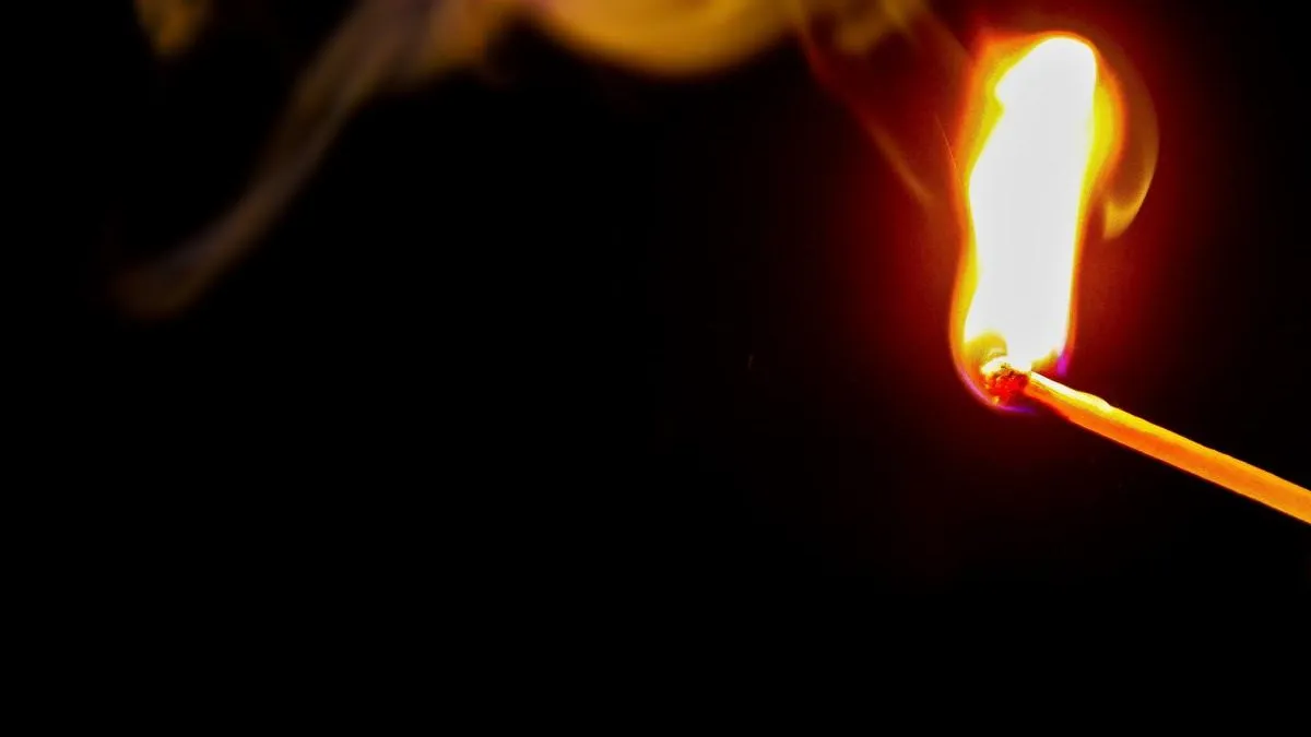 Фото: pxhere.com