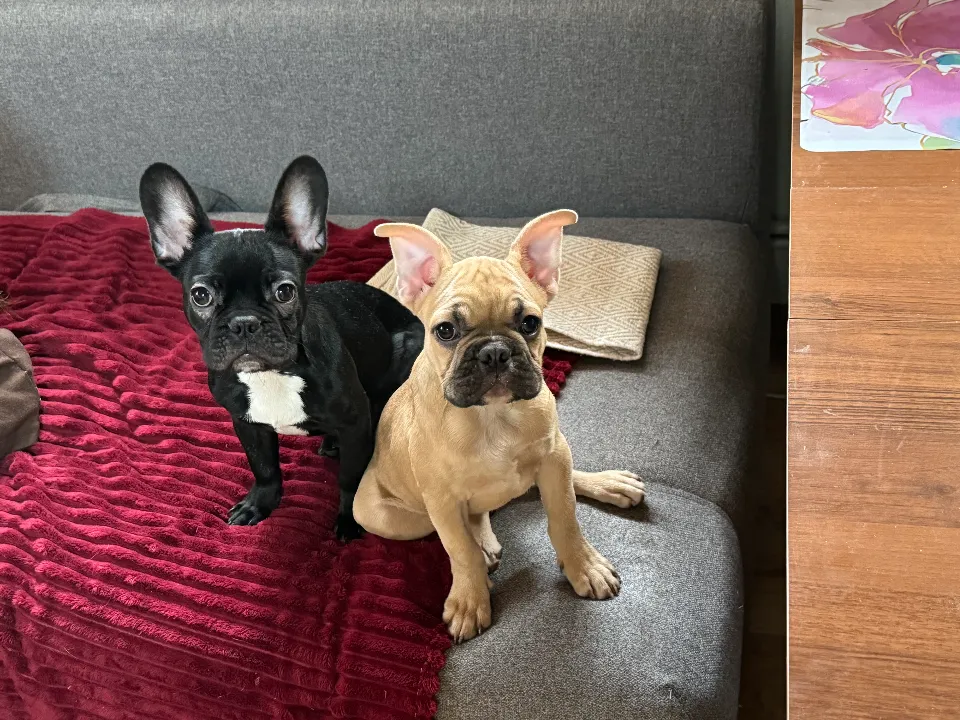 Фото: Полина Абраменко