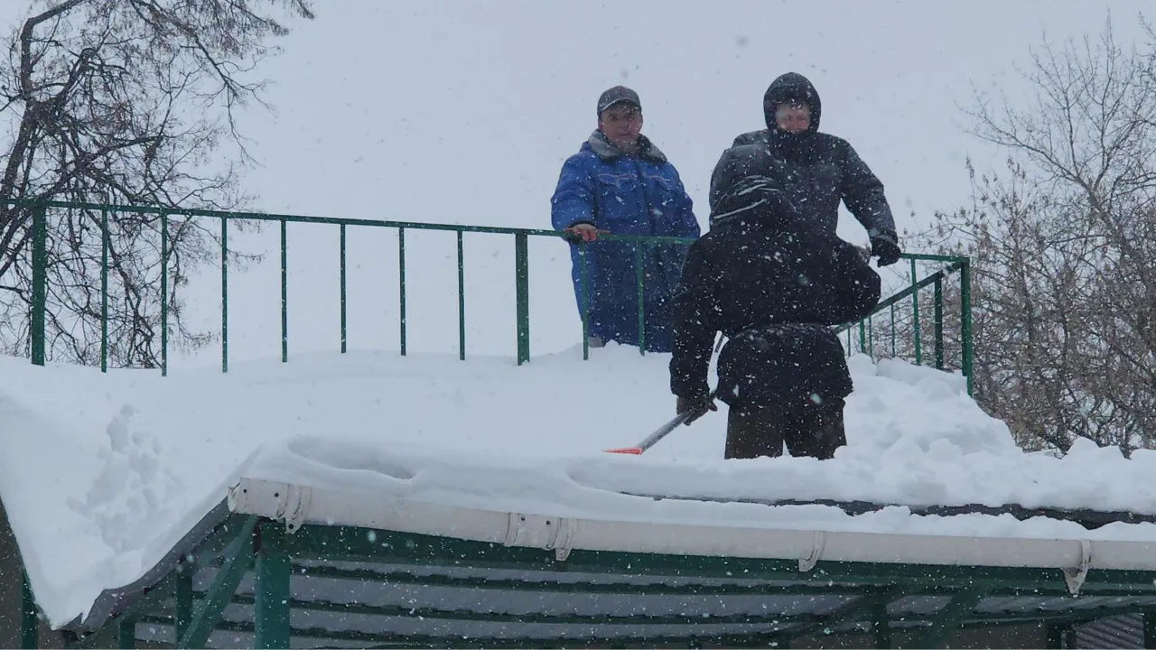 МедиаБанк Подмосковья/Наталья Лымарь