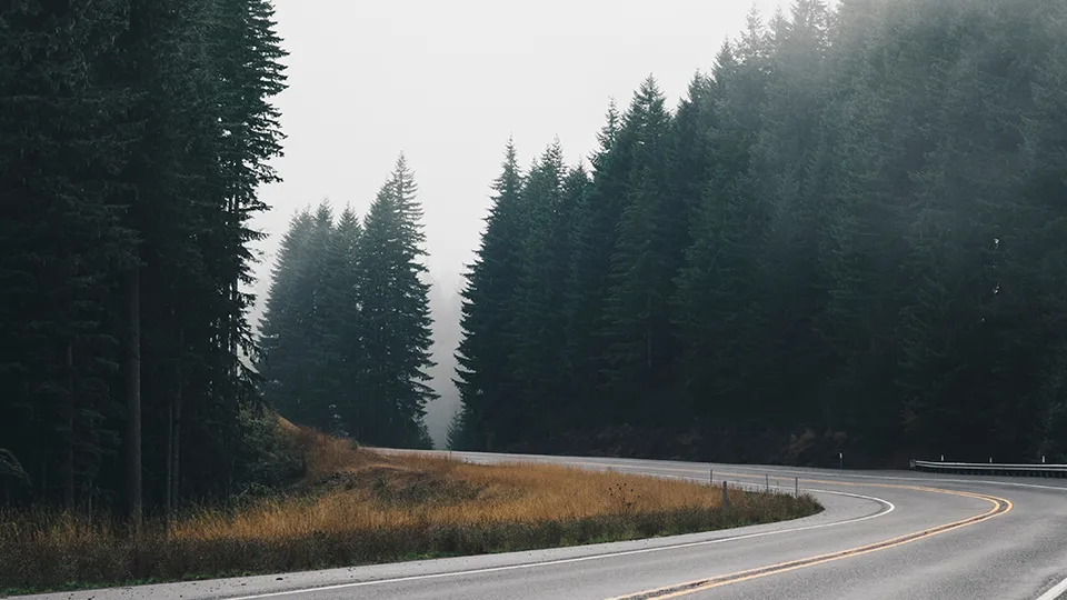 Фото: pxhere.com