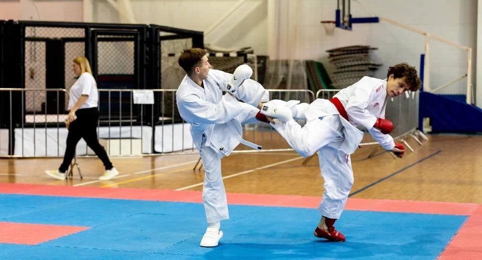 Свыше 400 человек приняли участие в фестивале единоборств в Клину