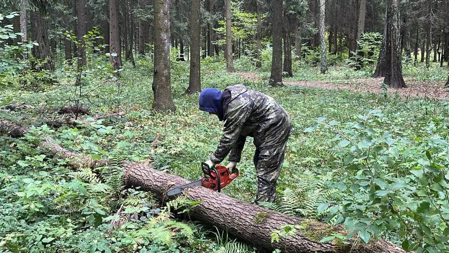 Фото: парк «Мечта»