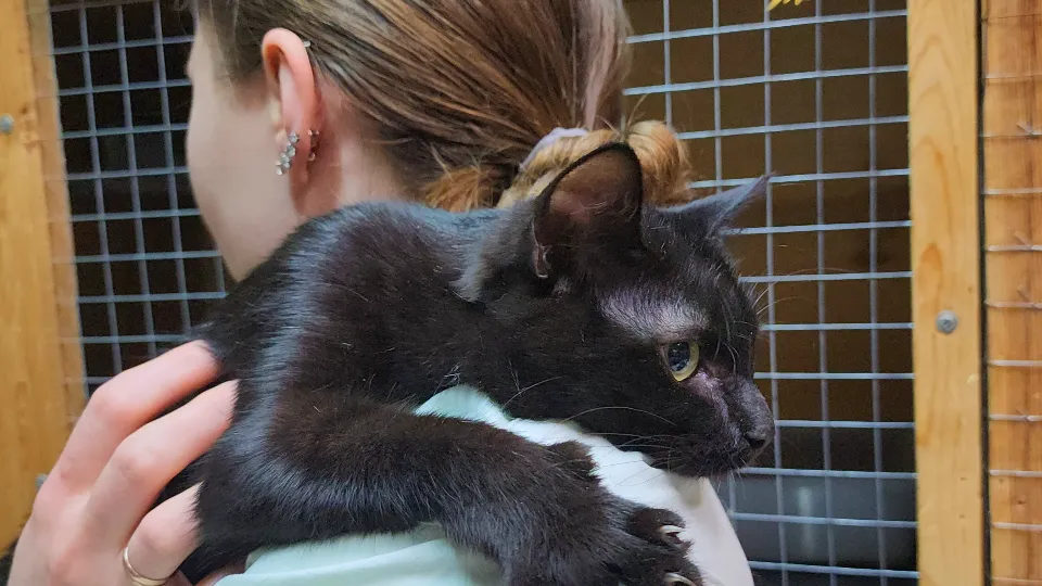 Фото: МедиаБанк Подмосковья/Арина Кузнецова