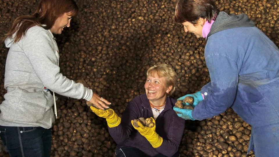 Фото: медиасток.рф