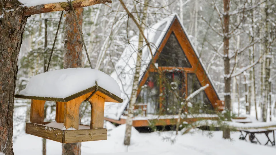 Фото: медиасток.рф