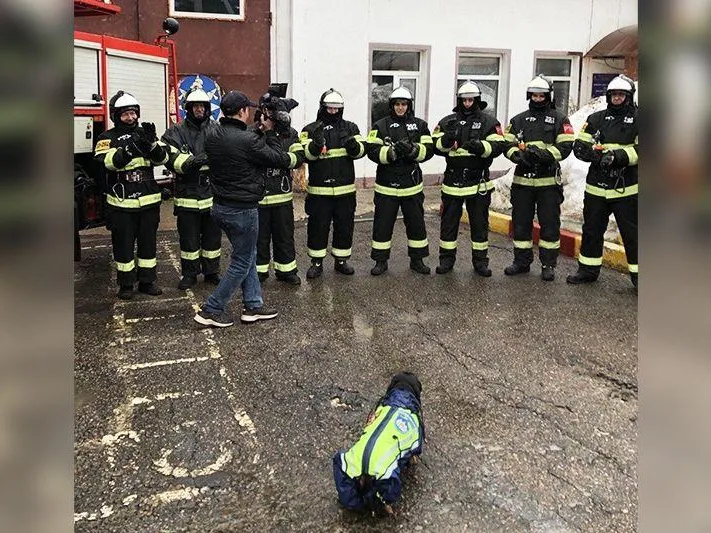 «Трудно не поддаться обаянию»: такса Моня помогает пожарным в Подмосковье