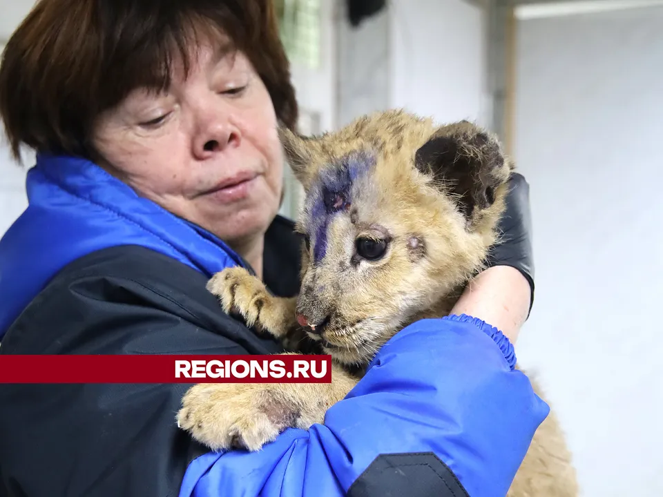 Фото: REGIONS/Ольга Пятикрестовская