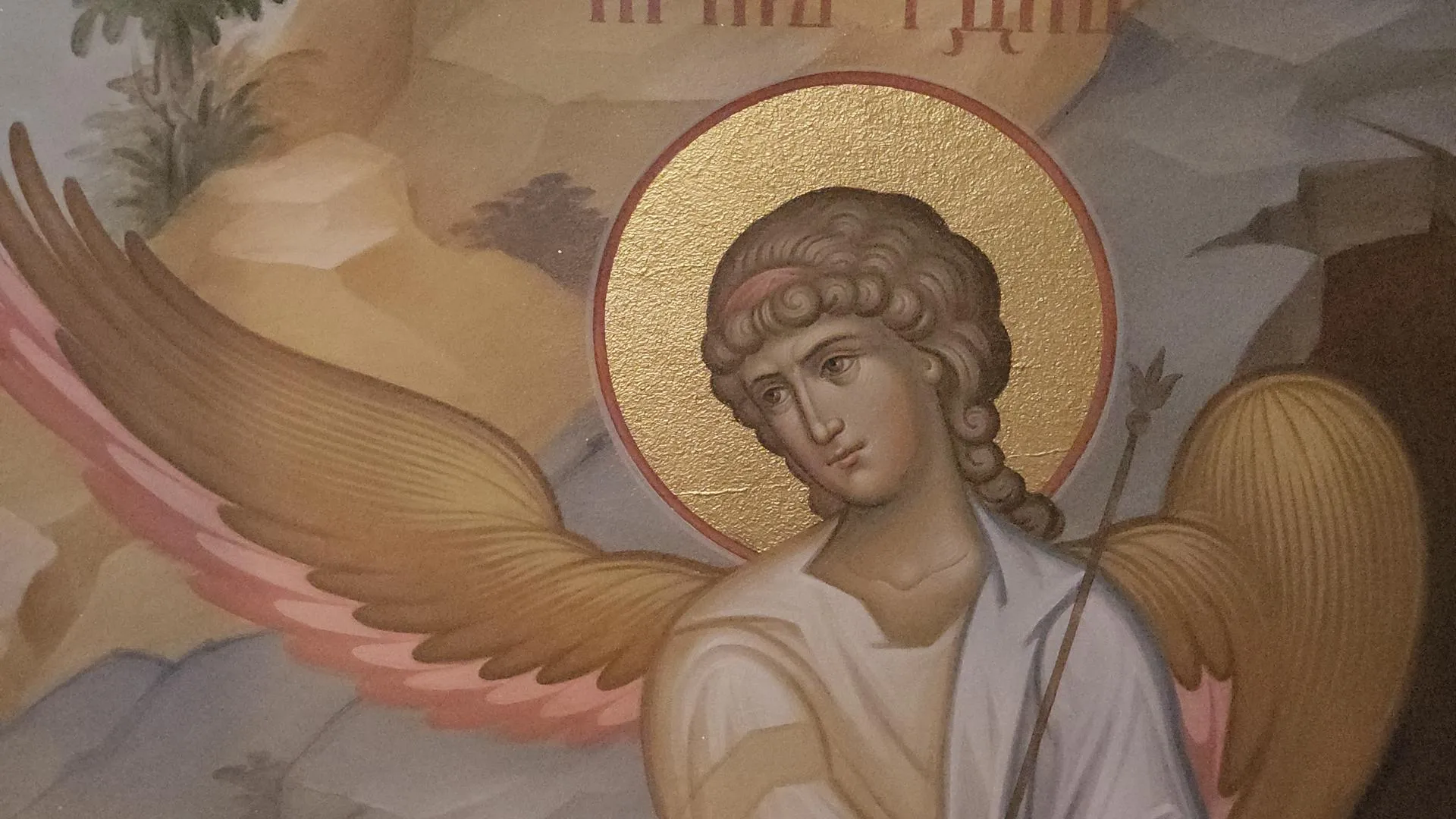 Фото: Ольга Сычева