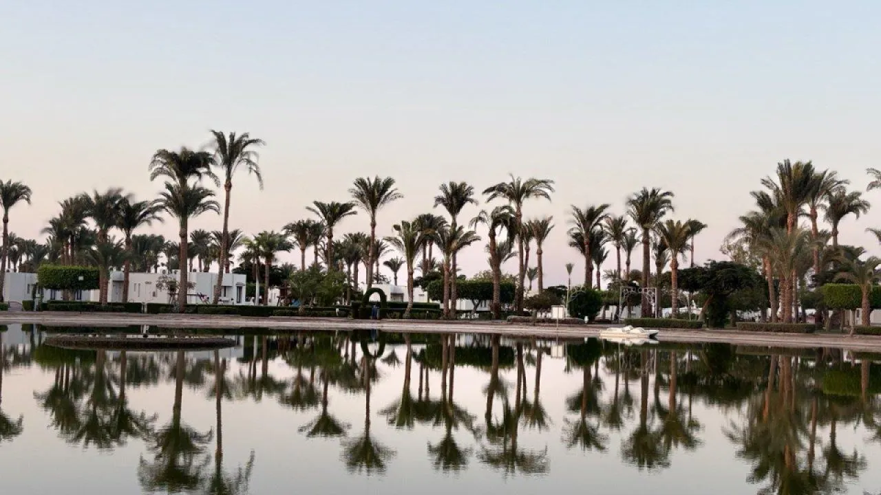 REGIONS/Елена Шаяхметова