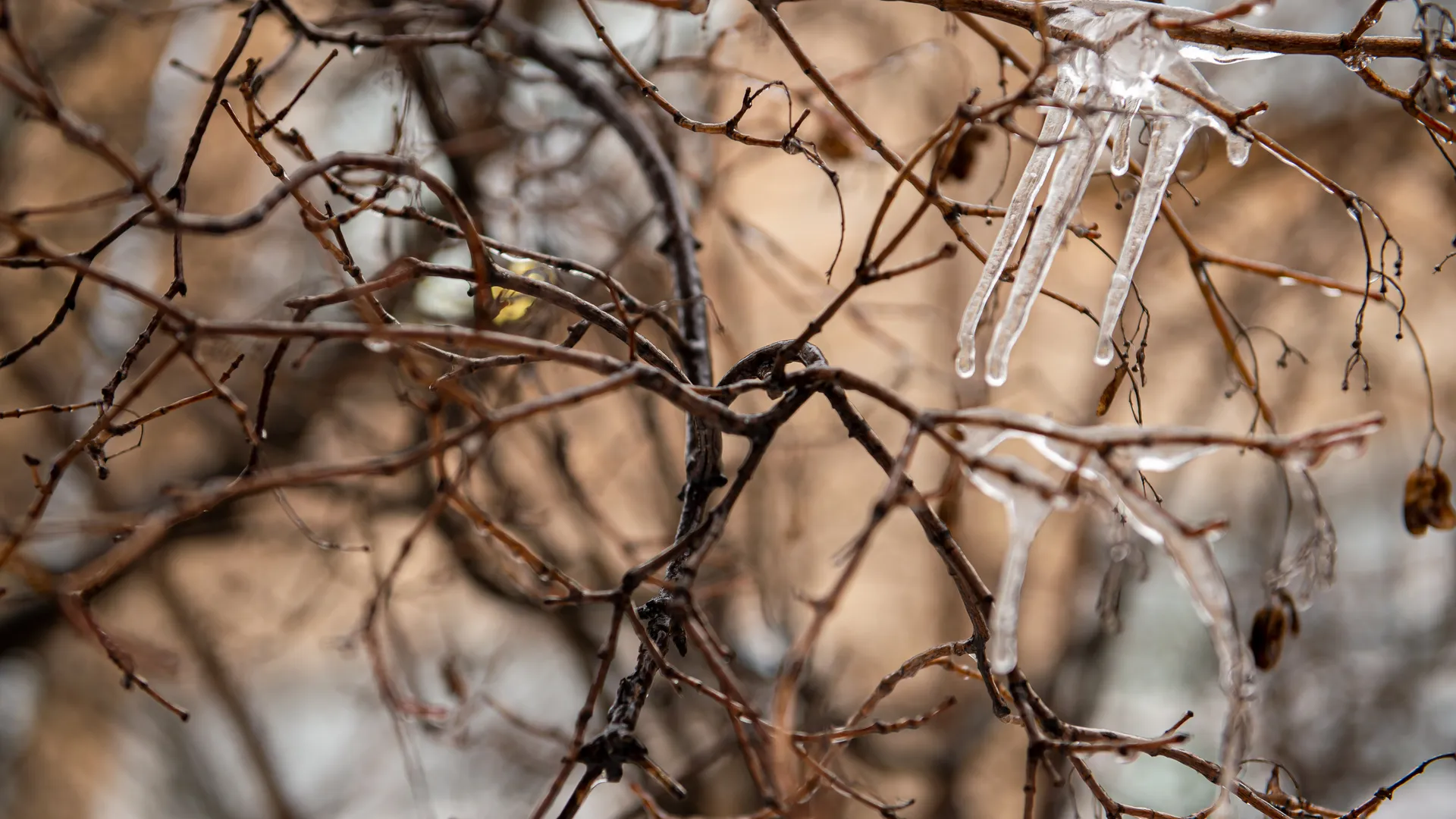 медиасток.рф