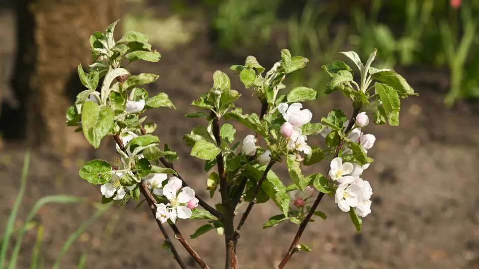 Фото: istockphoto.com