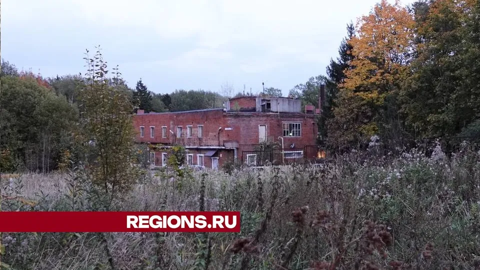 Фото: Дарья Леонова