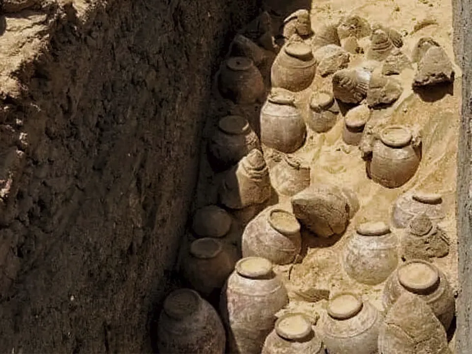 «Пробудятся древние энергии и силы»: ясновидящая предостерегла археологов, нашедших древнее вино в Египте