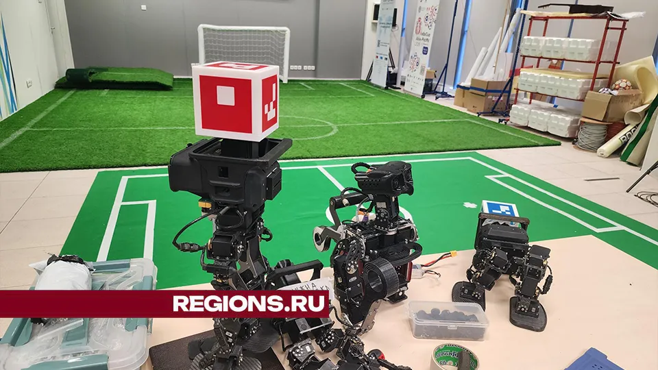 Фото: Михаил Раскин