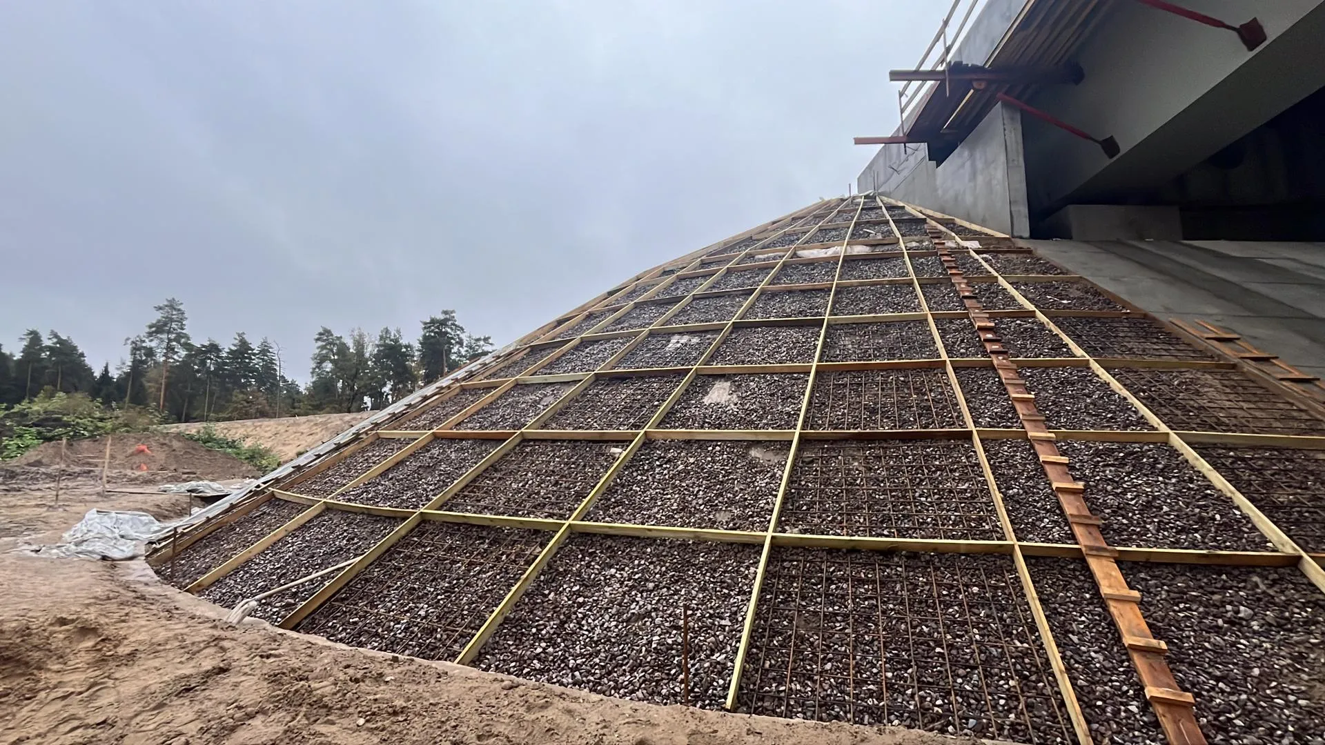 Фото: Елизавета Приймак