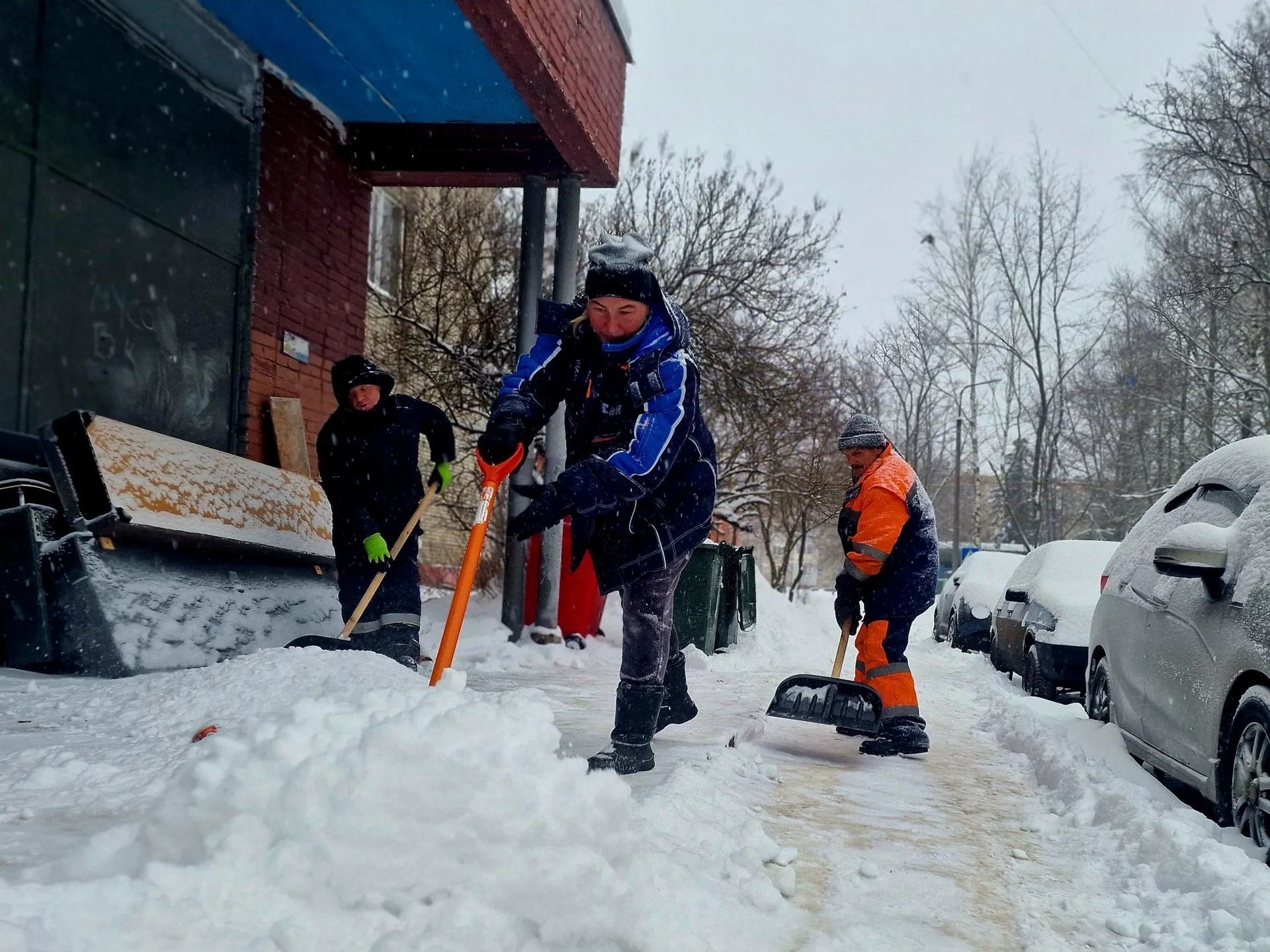 REGIONS/Ольга Шаронова