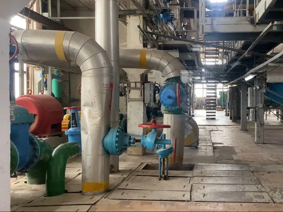 Фото: Елена Аботурова