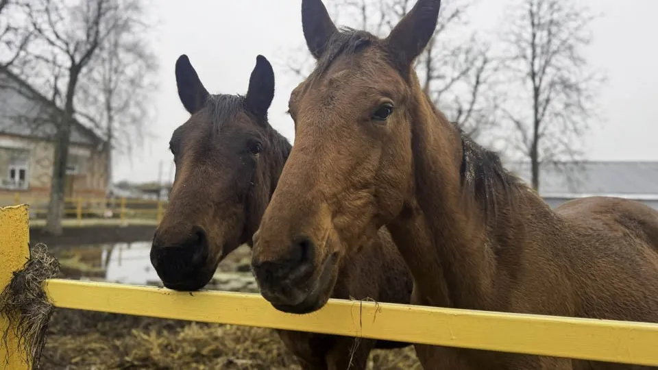 Фото: REGIONS/Дарина Левкина