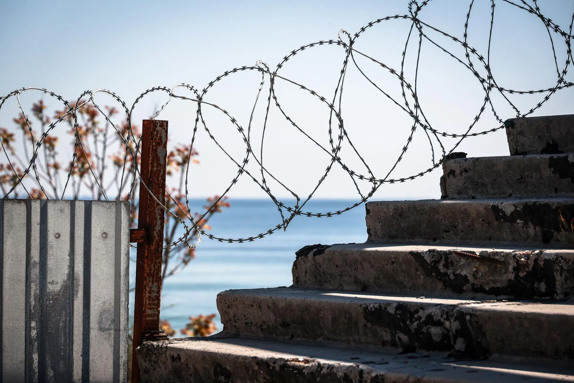 Nina Liashonok/Keystone Press Agency