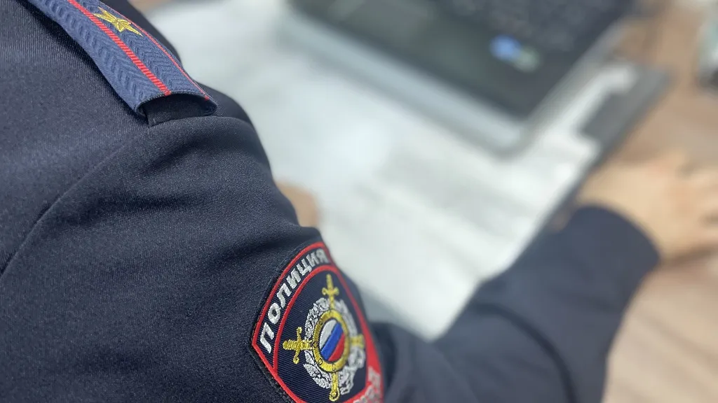 Фото: УМВД по Ленинскому г.о.