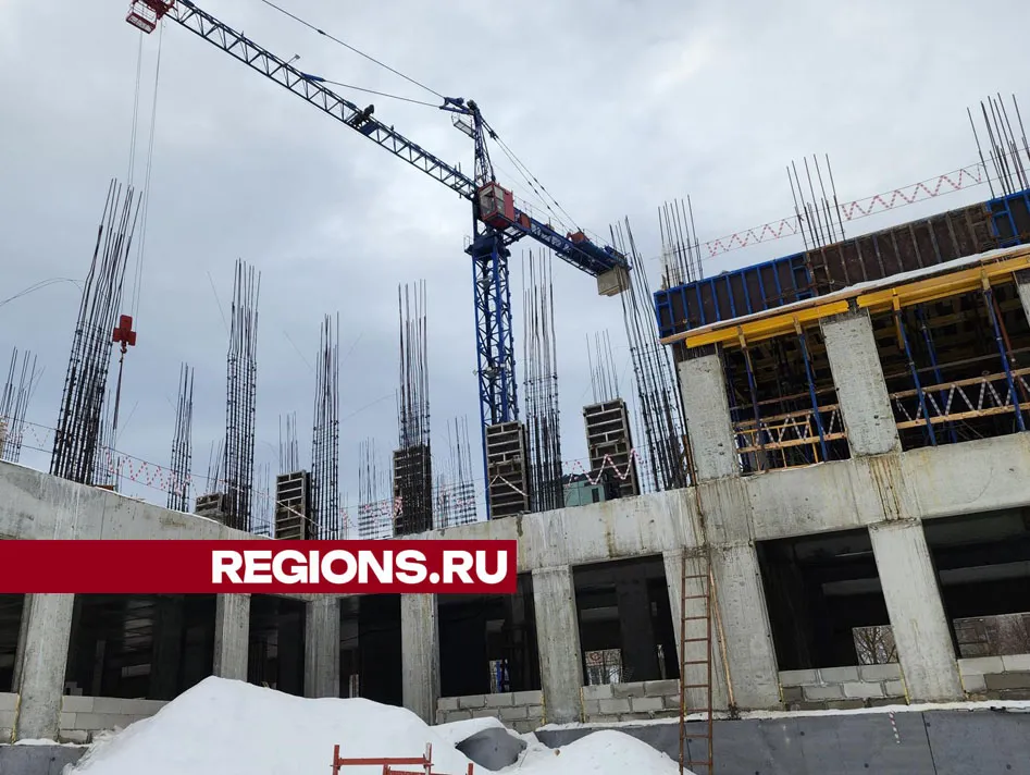 Фото: Валерия Тингаева