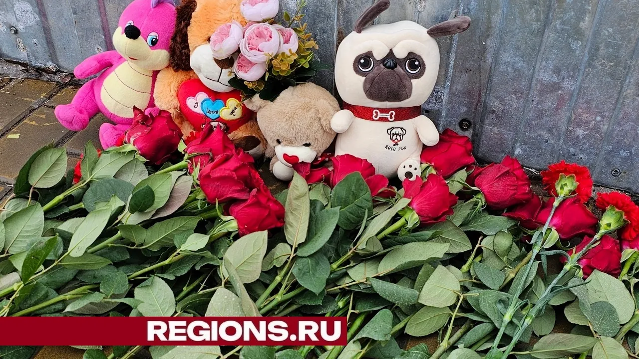 Фото Александра Дрожжина