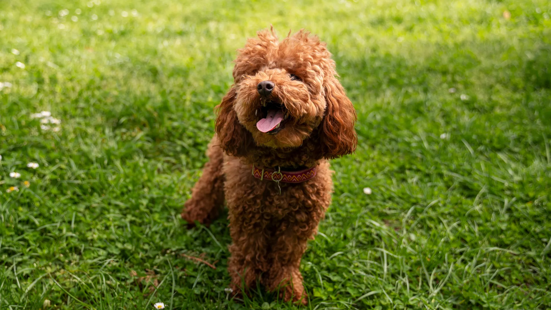 Фото: freepik.com