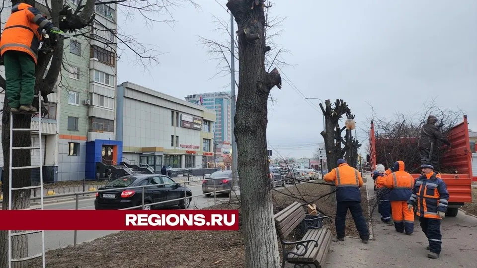 Фото: REGIONS/Александр Степушкин