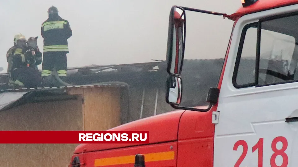 Фото: REGIONS/Василий Тремасов