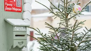 Фото: медиасток.рф