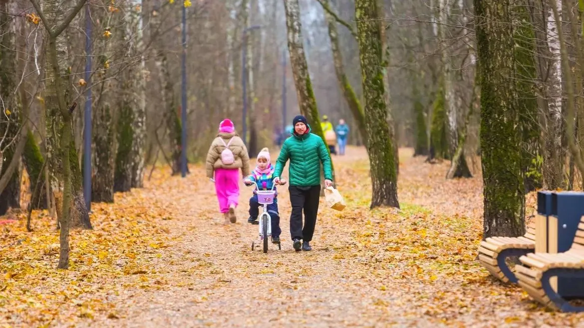 Министерство благоустройства Московской области