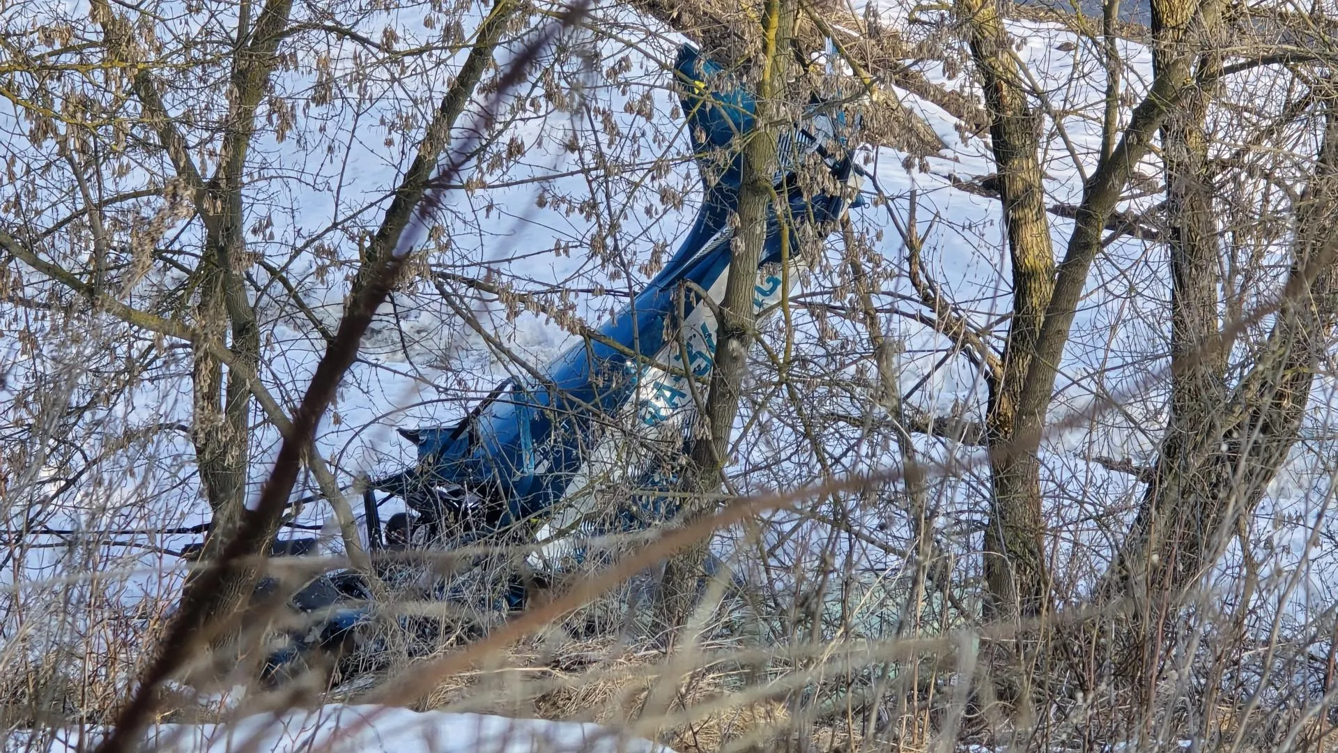 МедиаБанк Подмосковья/Марина Анисимова