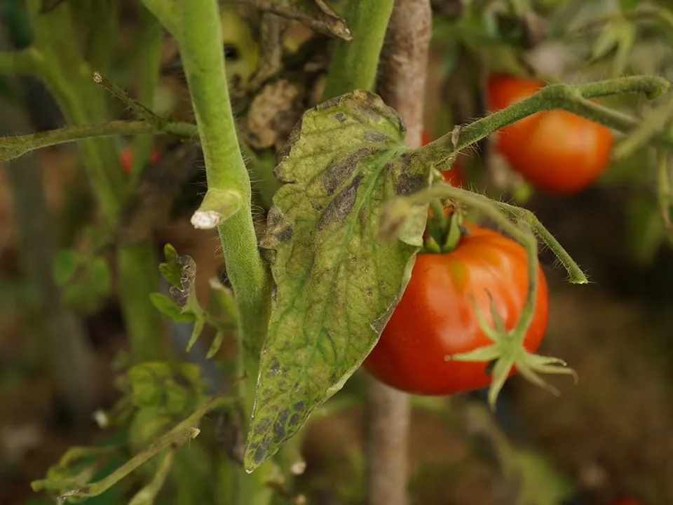 &nbsp; Фото: istockphoto.com