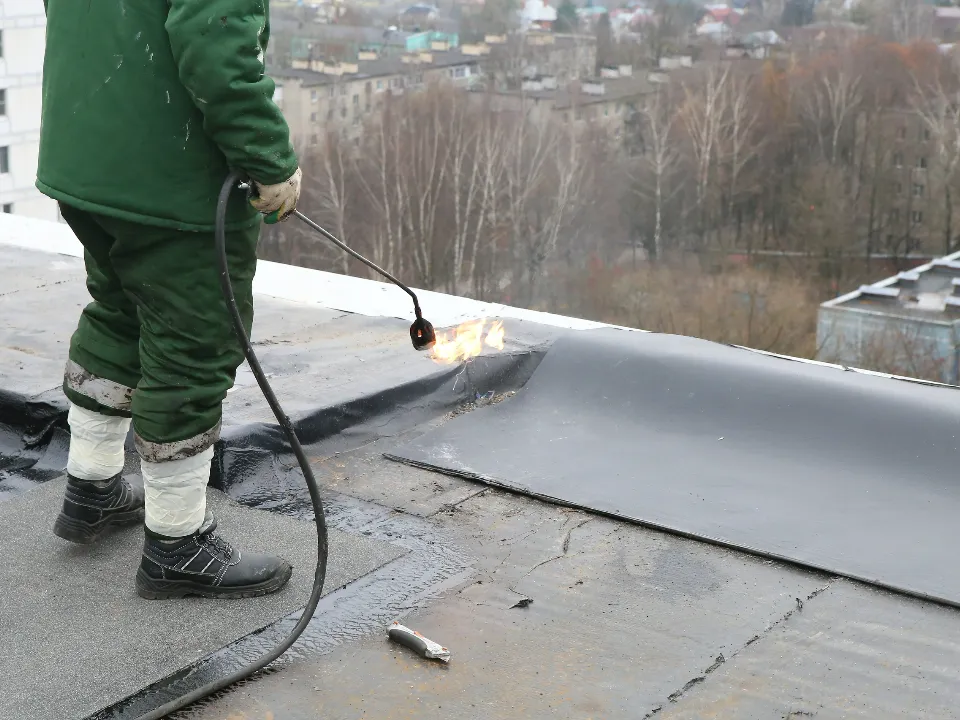 Фото: пресс-служба администрации г.о. Химки